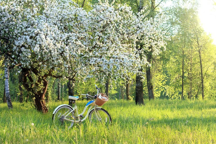 Winter Into Spring: Emerging Transformed